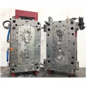 Fröccsöntő penész4